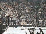 rob van dam