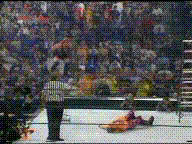 rob van dam